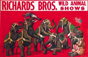 Vintage Poster, Richard Bros - Wild Animal Shows